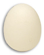 картинка Foam Egg ( 1 egg is 1 unit) Goshman от магазина Одежда+