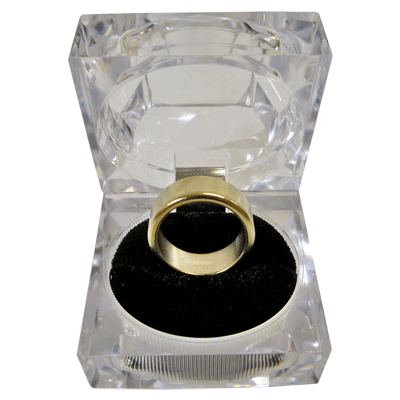 Wizard PK Ring Original (FLAT, GOLD, 19mm, Small) by World Magic Shop - Trick