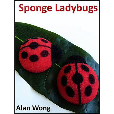 Sponge Lady Bugs by Alan Wong - Trick