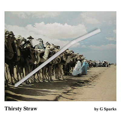 Thirsty Straw by G Sparks - Trick