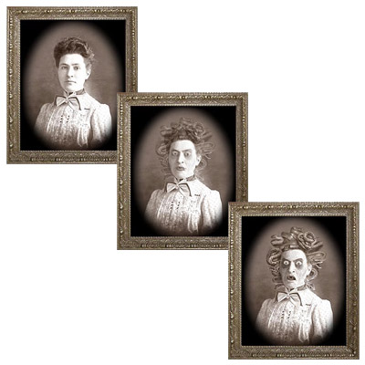 картинка Changing Portrait - Aunt Madeline by Eddie Allen - Trick от магазина Одежда+