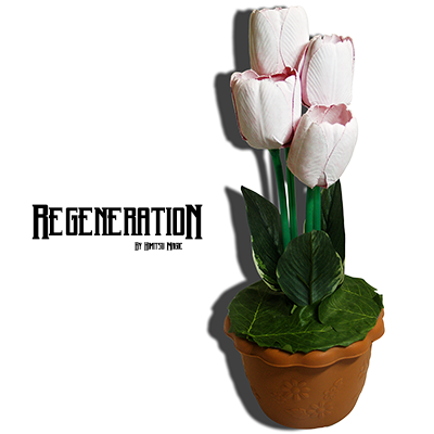 Regeneration Tulip by Himitsu Magic - Trick