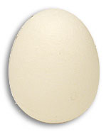 Foam Egg ( 1 egg is 1 unit) Goshman