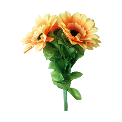 картинка Amazing Split Sunflower by Premium Magic - Trick от магазина Одежда+
