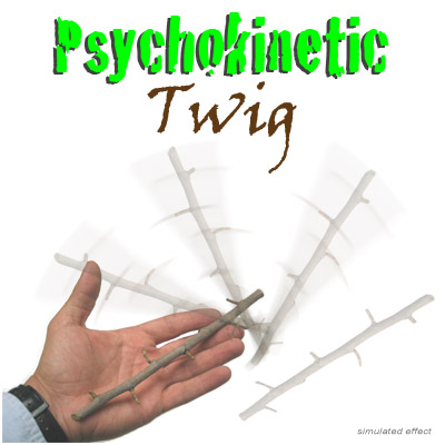 картинка Cesaral Psychokinetic Twig by Cesar Alonso (Cesaral Magic) - Trick от магазина Одежда+