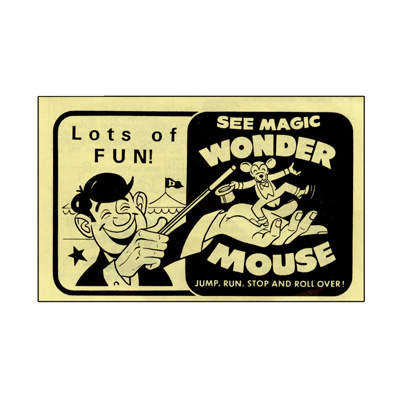 картинка Wonder Mouse  by Fun Inc. - Trick от магазина Одежда+