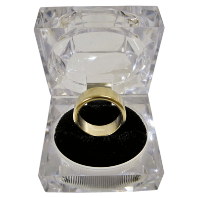 Wizard PK Ring Original (FLAT, GOLD, 16mm) by World Magic Shop - Trick