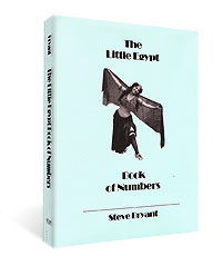 картинка Little Egypt Book of Numbers by Steve Bryant - Book от магазина Одежда+